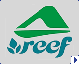 Reef Fashion
